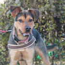 Marty braucht ein ruhiges, sicheres Zuhause