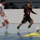 IMG_2265.jpg
