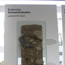 Schwemmboden.JPG