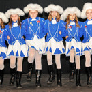 Zunftball Ho__chst 19-01-2013 45.jpg