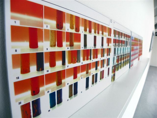 100_7841_jpg-1270145962