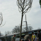 101_0861_jpg-1270150197