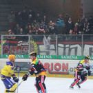 IMG_9182.jpg