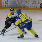 IMG_7343.jpg