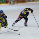 IMG_7517.jpg