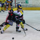 IMG_7740.jpg