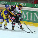 IMG_7807.jpg