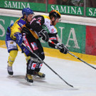 IMG_7808.jpg