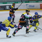 IMG_7817.jpg