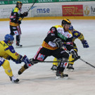 IMG_7818.jpg