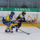 IMG_7875.jpg