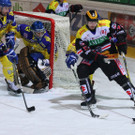 IMG_7881.jpg