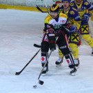IMG_7883.jpg