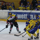 IMG_7885.jpg
