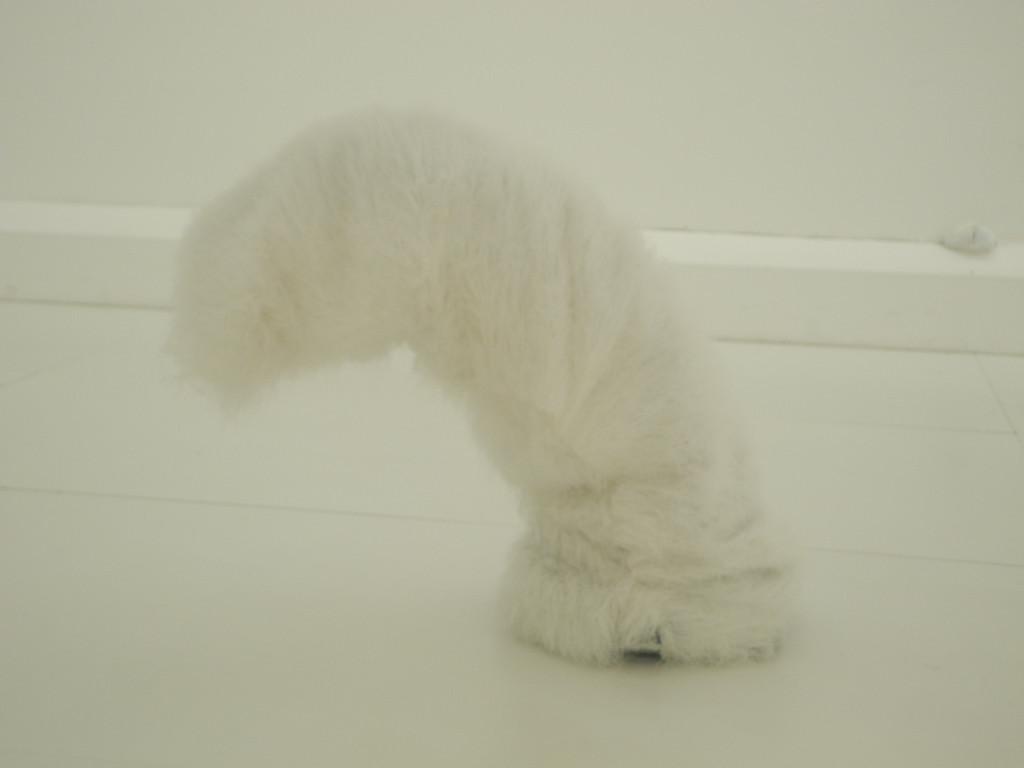 DSCN2082.JPG