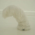 DSCN2082.JPG