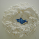 DSCN2081.JPG