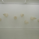 DSCN2094.JPG