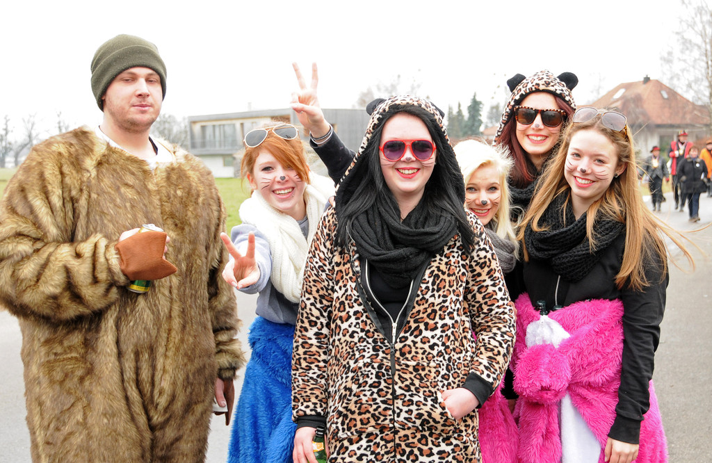 Fu__acher Umzug 2014 11.jpg