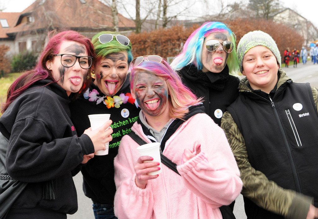 Fu__acher Umzug 2014 16.jpg