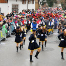 Fu__acher Umzug 2014 87.jpg