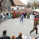 Fu__acher Umzug 2014 100.jpg