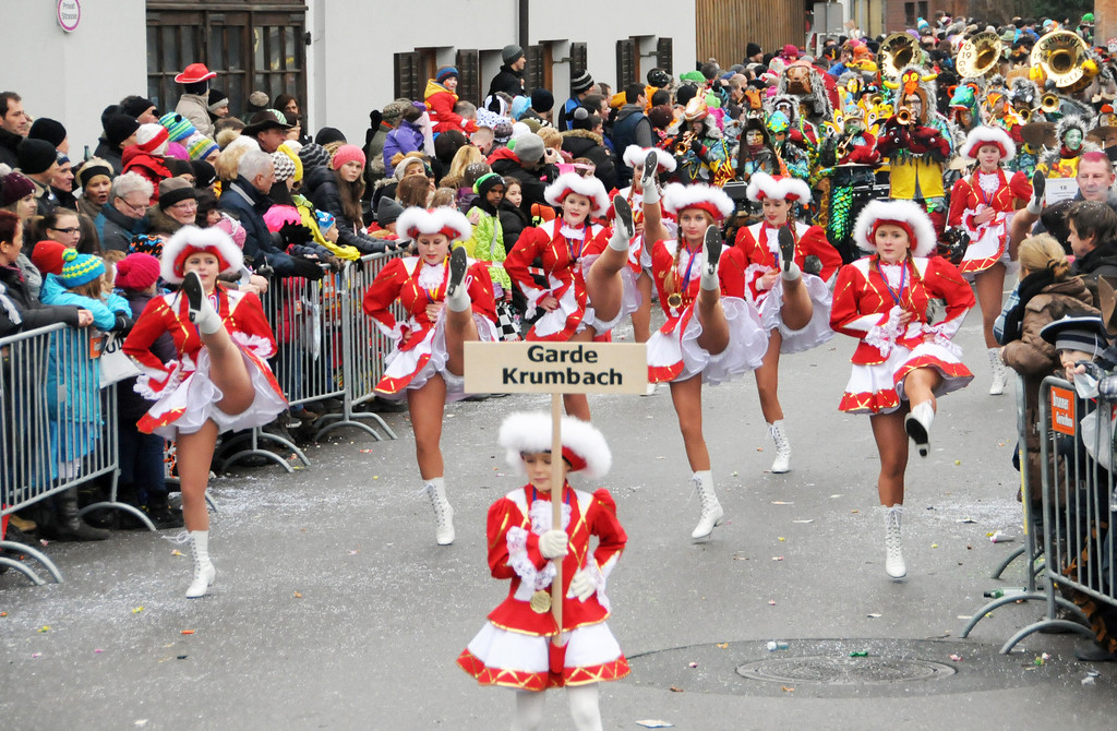 Fu__acher Umzug 2014 113.jpg