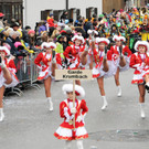 Fu__acher Umzug 2014 113.jpg