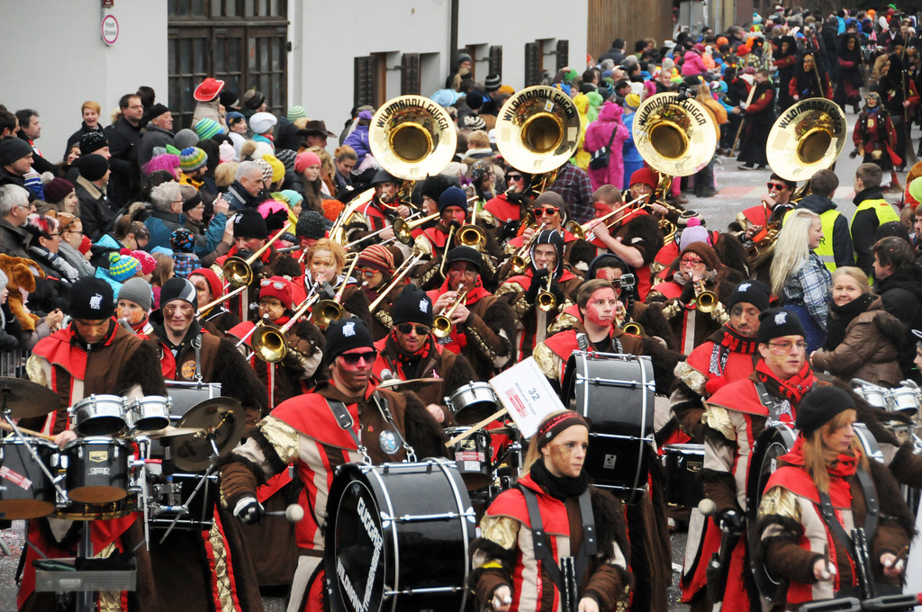 Fu__acher Umzug 2014 139.jpg