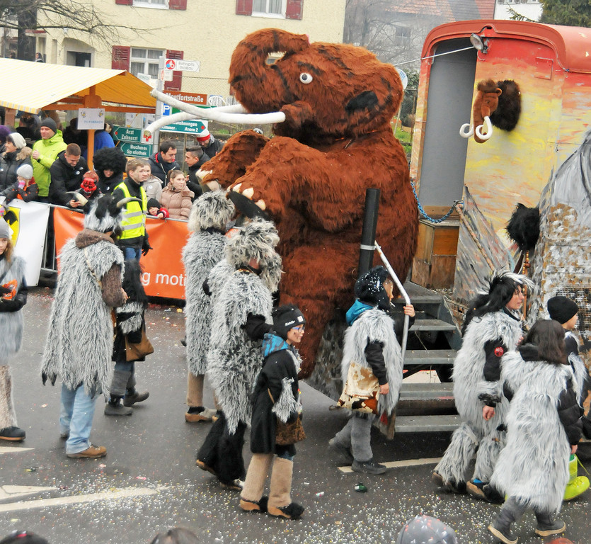 Fu__acher Umzug 2014 158.jpg