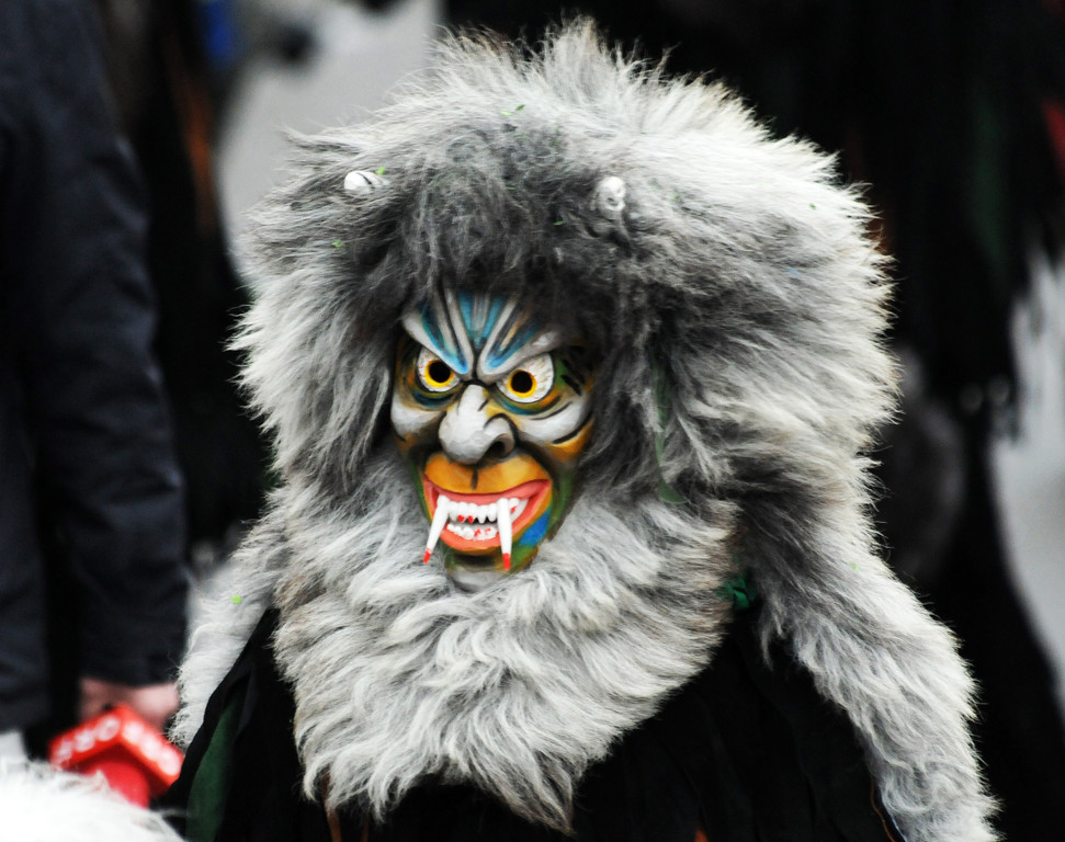 Fu__acher Umzug 2014 T 105.jpg