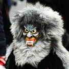 Fu__acher Umzug 2014 T 105.jpg