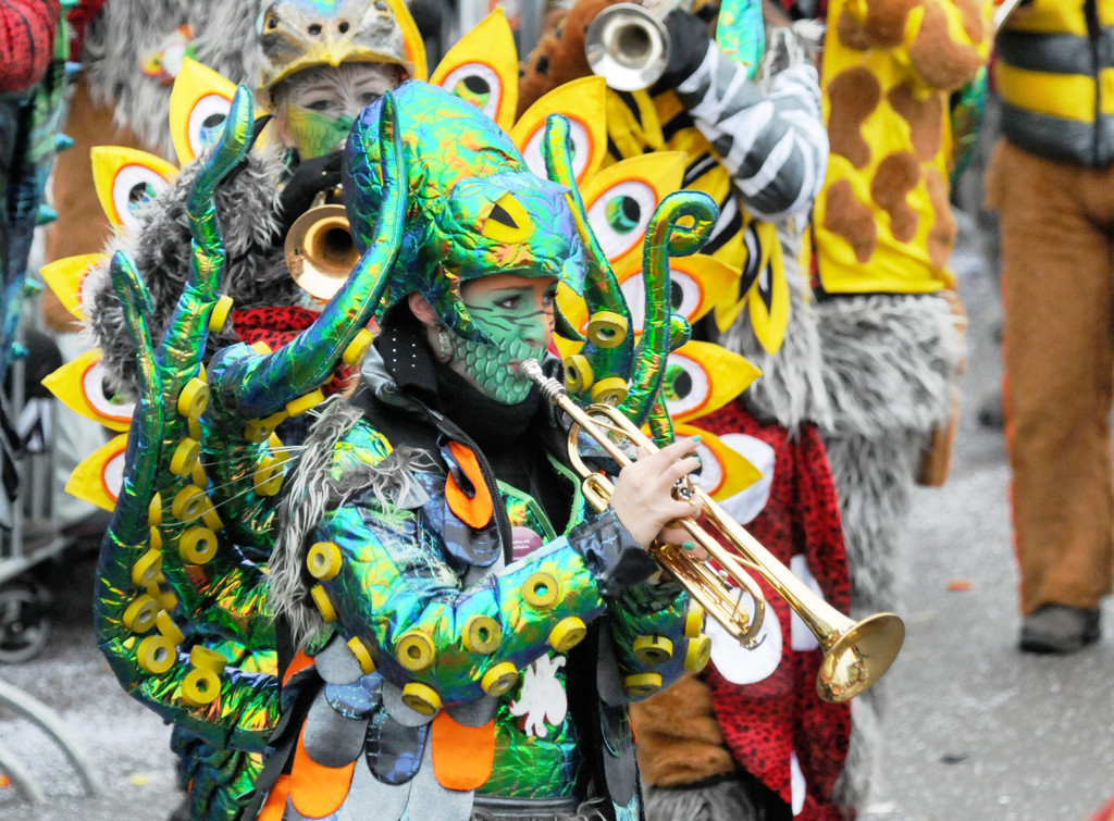 Fu__acher Umzug 2014 T 119.jpg