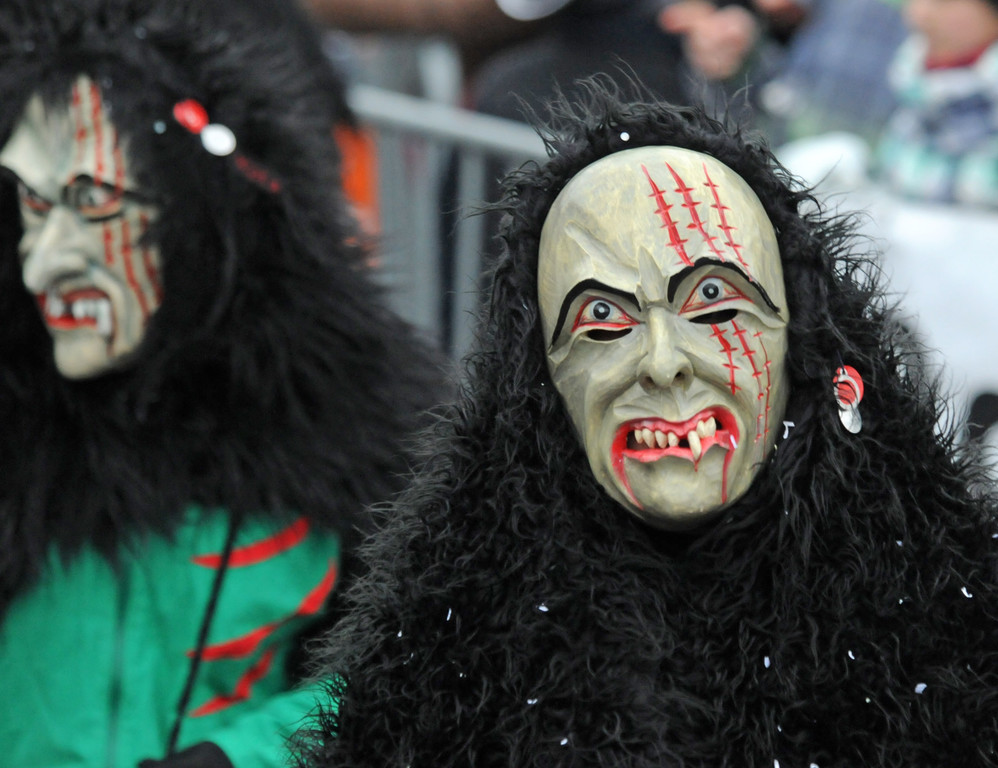 Fu__acher Umzug 2014 T 57.jpg