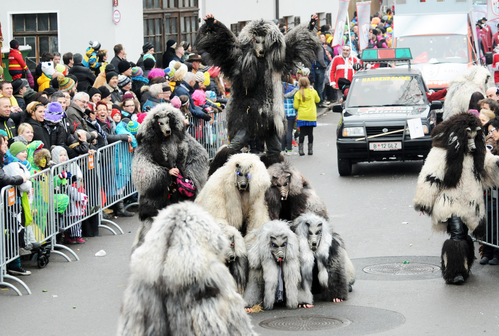 Fu__acher Umzug 2014 T 65.jpg