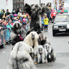 Fu__acher Umzug 2014 T 65.jpg