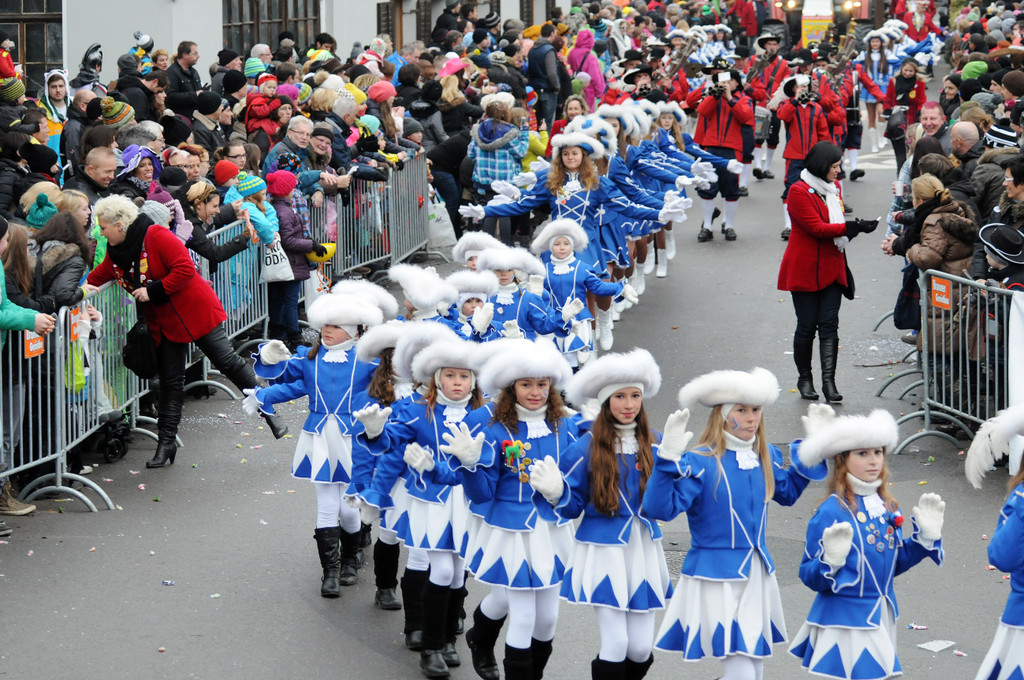 Fu__acher Umzug 2014 T 79.jpg