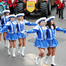 Fu__acher Umzug 2014 T 91.jpg