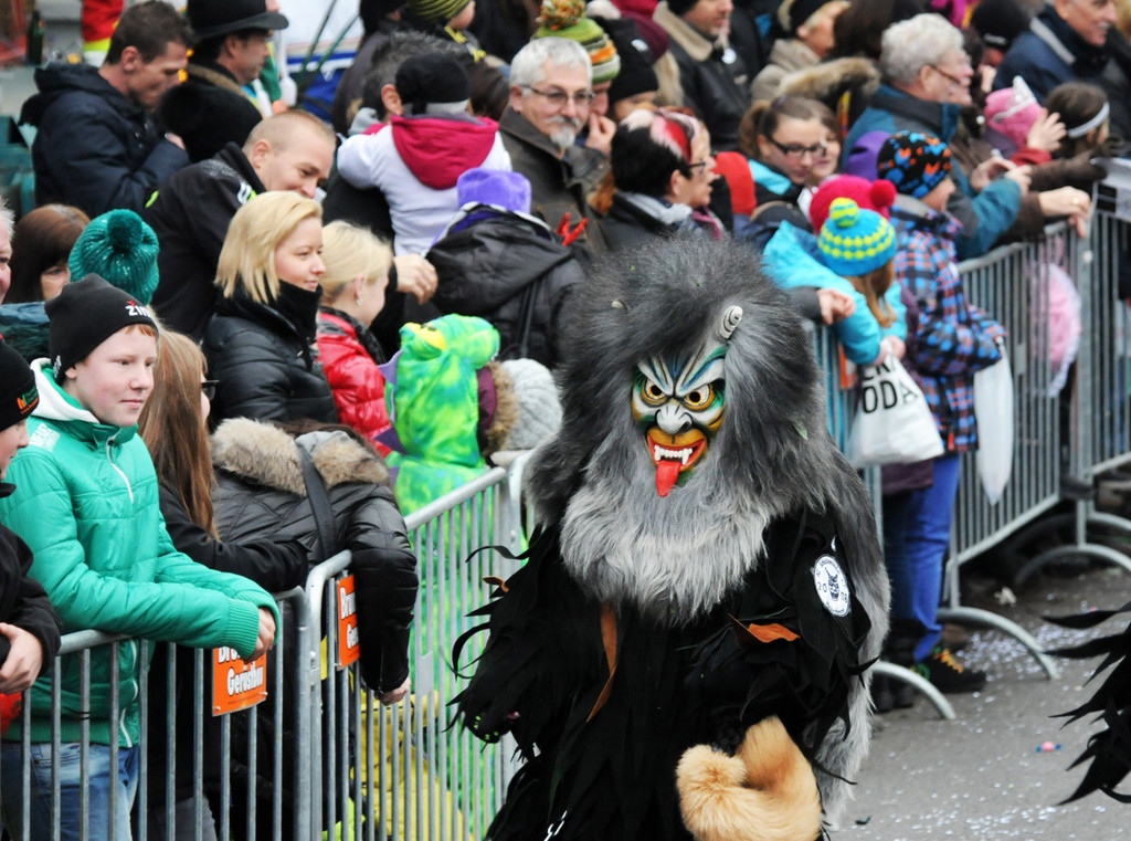 Fu__acher Umzug 2014 T 108.jpg