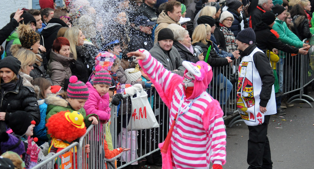 Fu__acher Umzug 2014 T 110.jpg