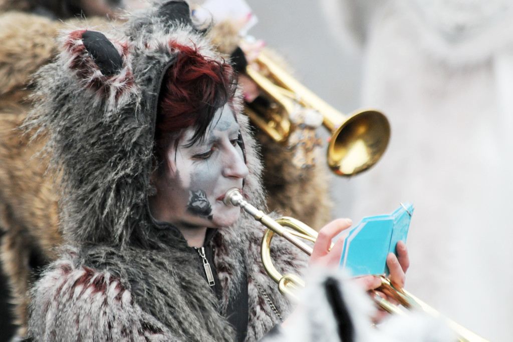 Fu__acher Umzug 2014 T 113.jpg