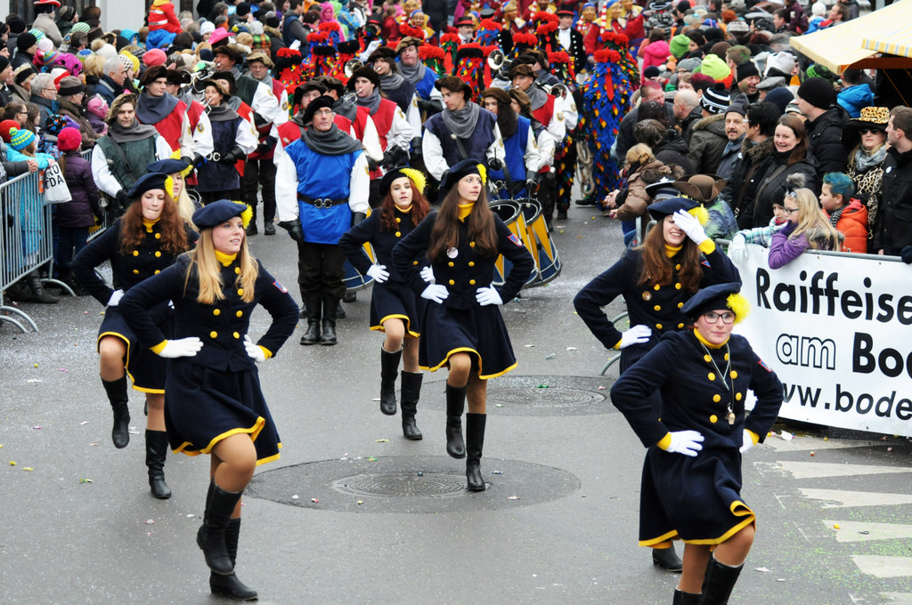 Fu__acher Umzug 2014 T 116.jpg