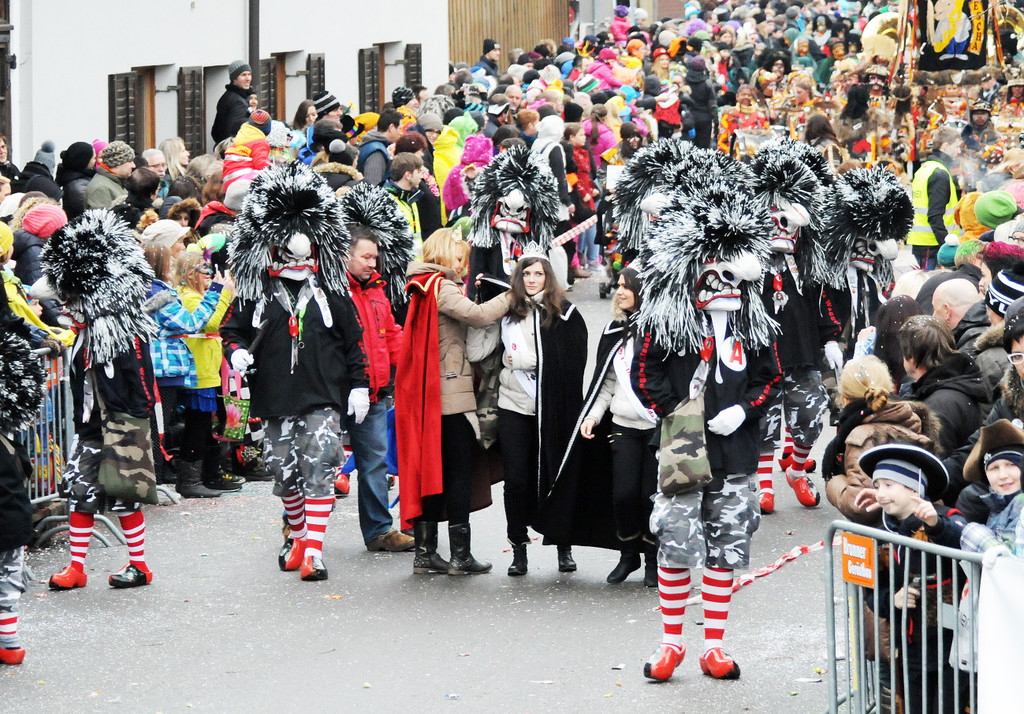 Fu__acher Umzug 2014 T 130.jpg