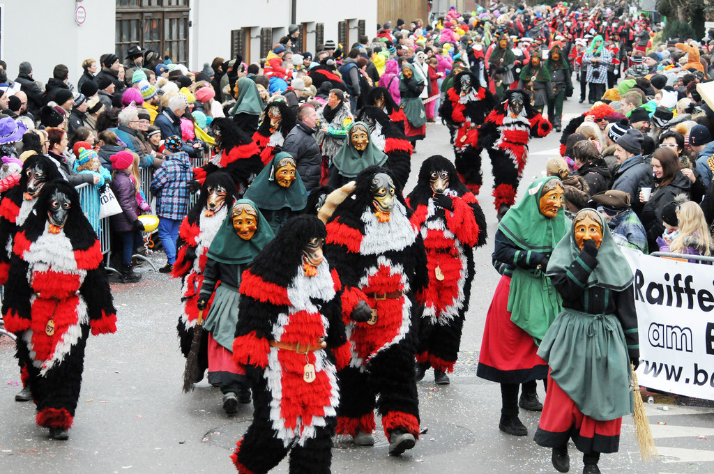 Fu__acher Umzug 2014 T 145.jpg