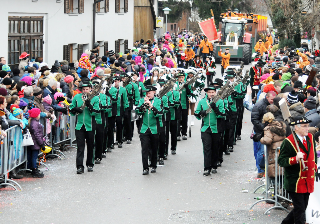 Fu__acher Umzug 2014 T 159.jpg