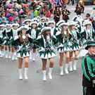 Fu__acher Umzug 2014 T 163.jpg