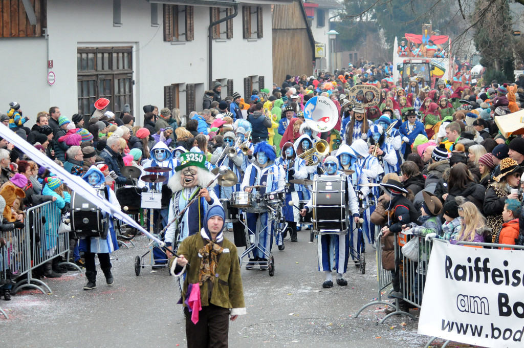 Fu__acher Umzug 2014 T 203.jpg