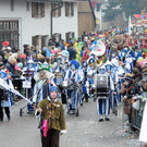 Fu__acher Umzug 2014 T 203.jpg