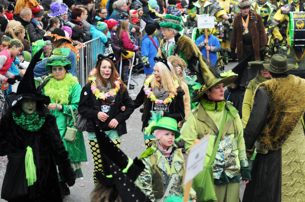 Fu__acher Umzug 2014 T 220.jpg