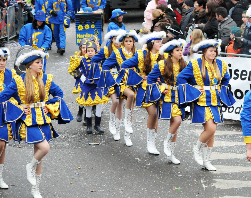 Fu__acher Umzug 2014 T 235.jpg
